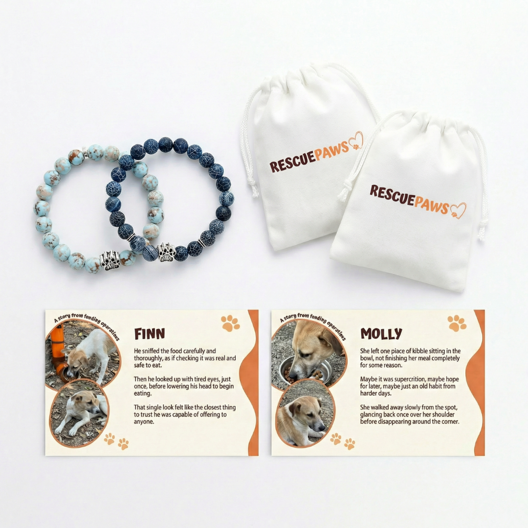 What members received last month: Finn's and Molly's stories, and the two bracelets that came with them.