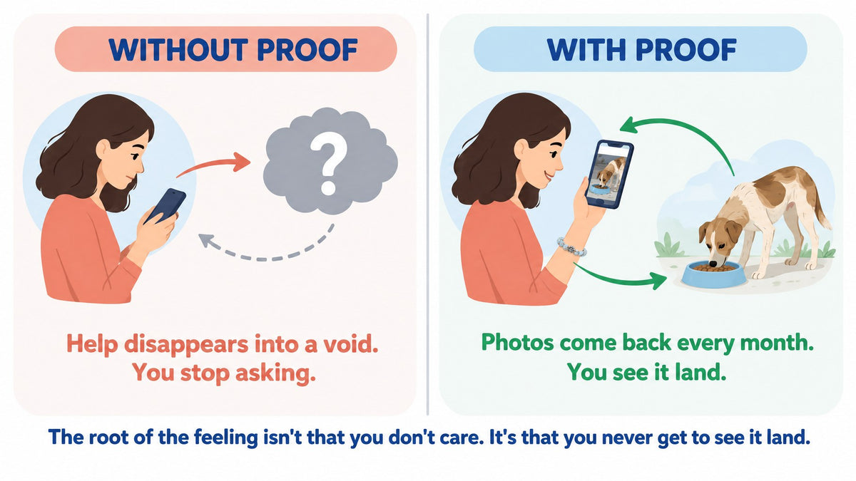 Diagram: without proof the help disappears into a void; with proof, photos come back every month