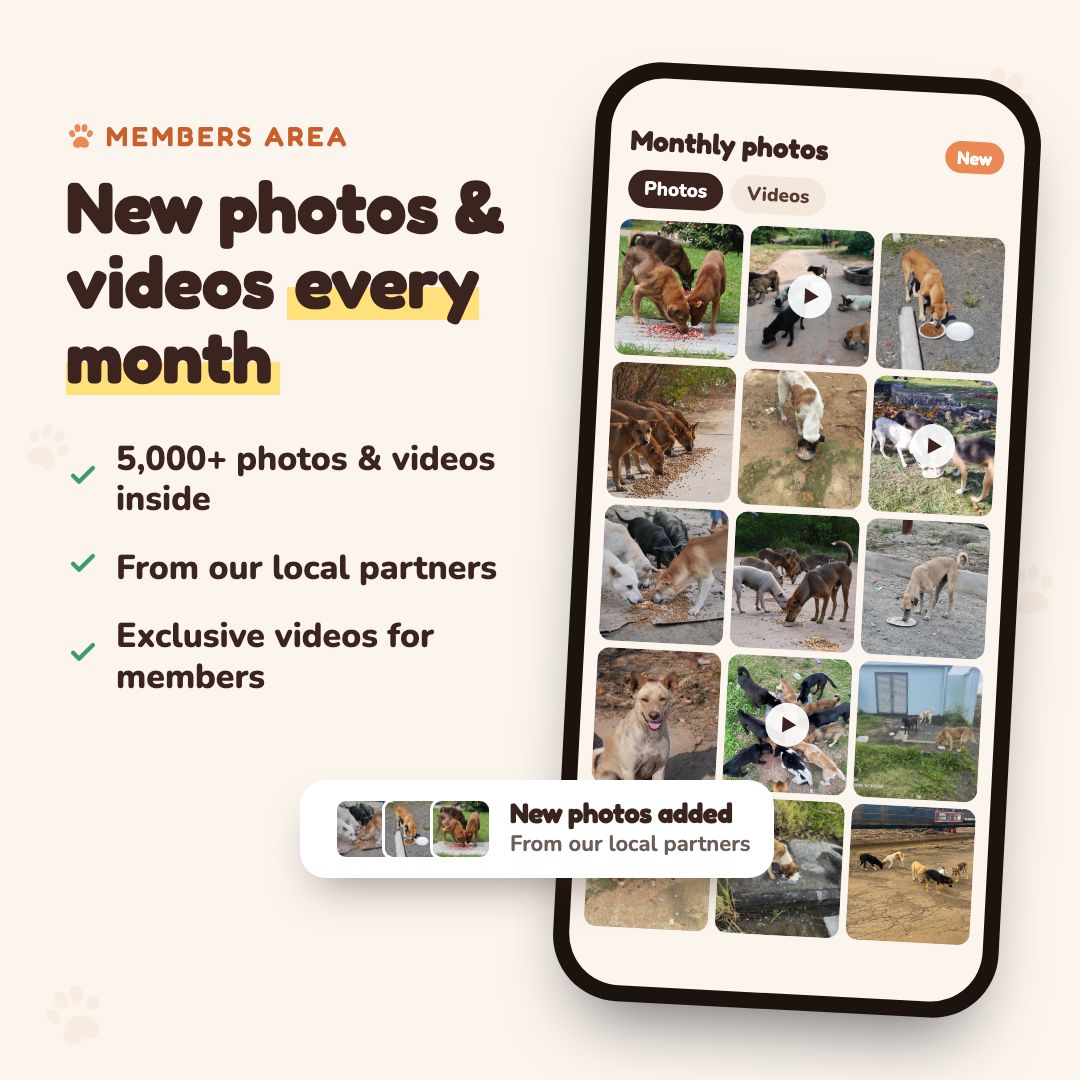 Members area with new photos and videos from our local partners every month
