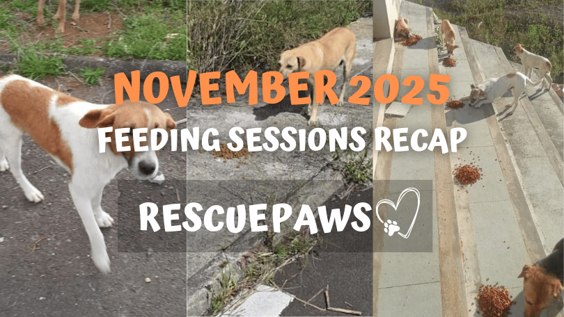 November 2025: A Month We'll Never Forget