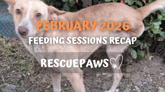 February 2026: Photos From The Field