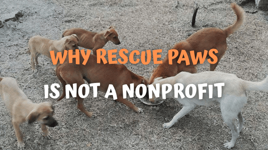 Why Rescue Paws Is Not a Nonprofit