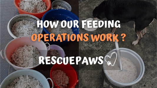 How Our Feeding Operations Work