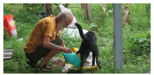 Rescue Paws local partner feeding a street dog during a May 2026 feeding session