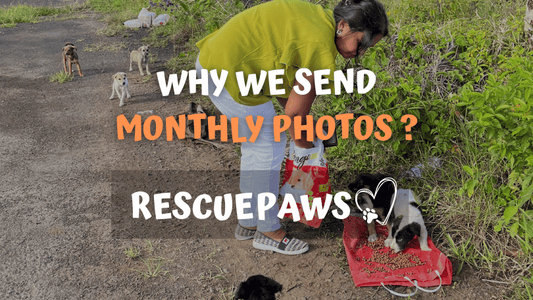Why We Send Monthly Photos