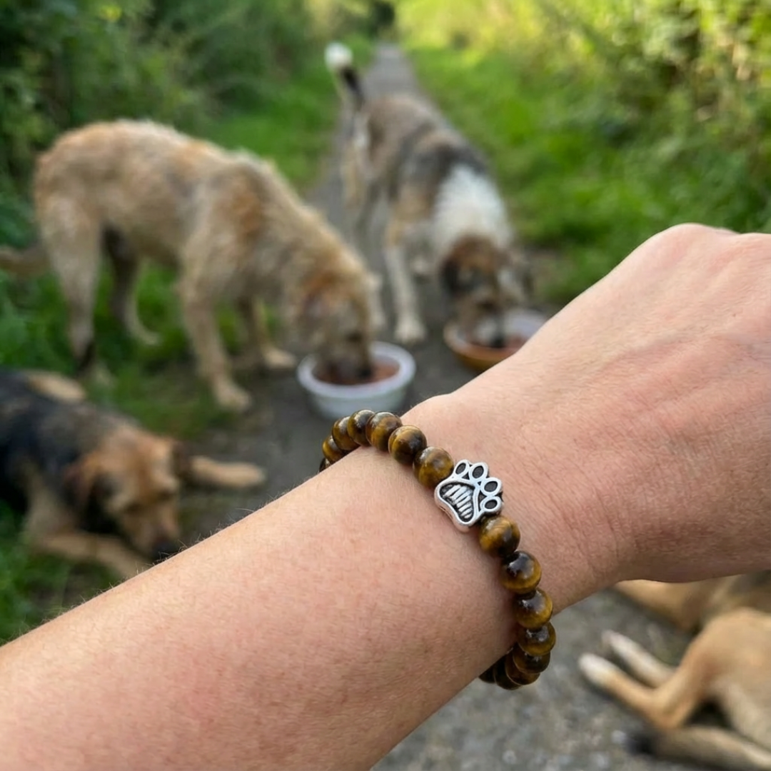 Safari Bracelet