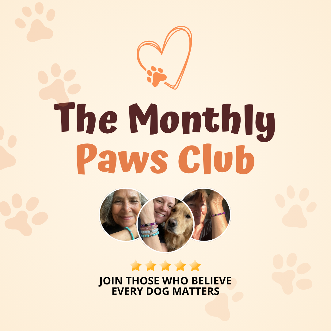 The Monthly Paws Club – Rescue Paws