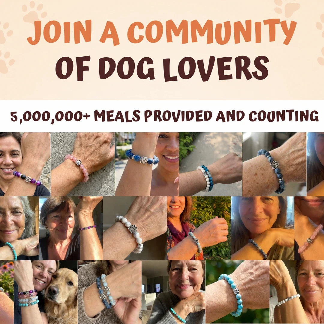 Join a community of dog lovers: 5,000,000+ meals provided and counting