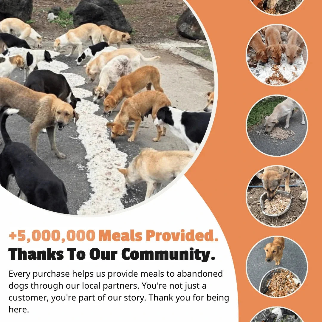 5,000,000+ meals provided thanks to our community of dog lovers