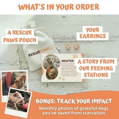 Heart Devotion Earrings - Gold