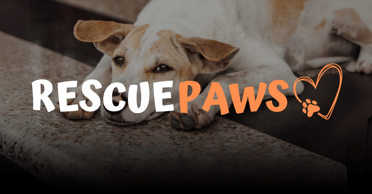 Frequently asked questions – Rescue Paws