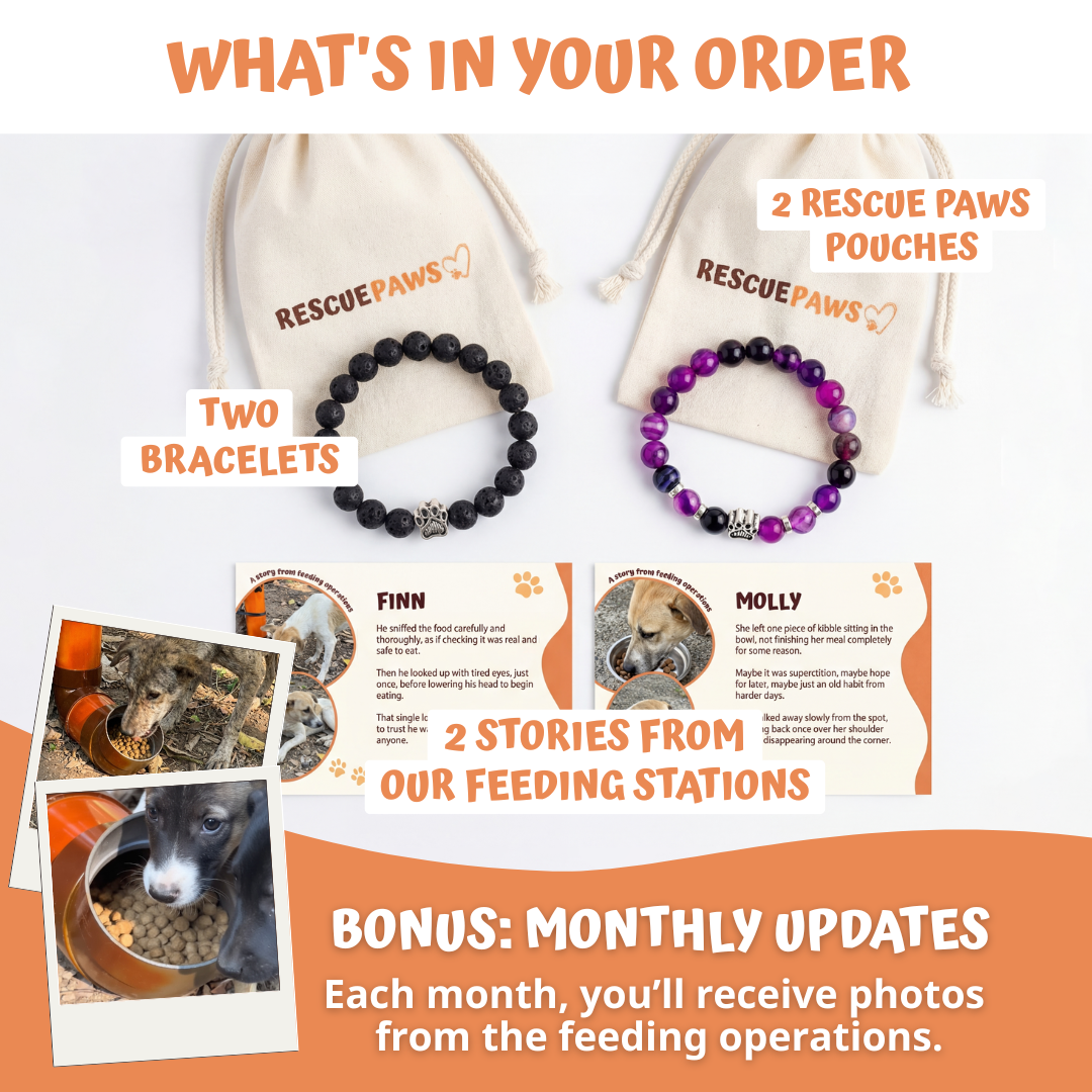Double the Love Bundle - Matching Paw Bracelets