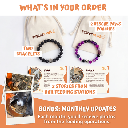 Double the Love Bundle - Matching Paw Bracelets