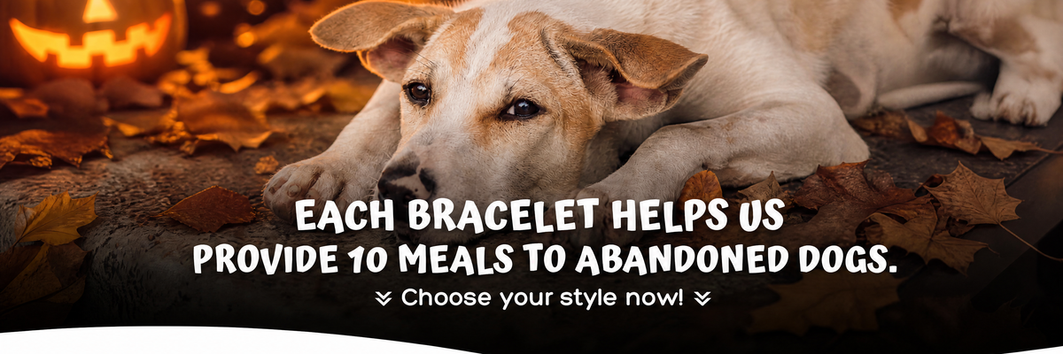 Halloween Edition Rescue Paws bracelets: each bracelet helps us provide 10 meals to abandoned dogs