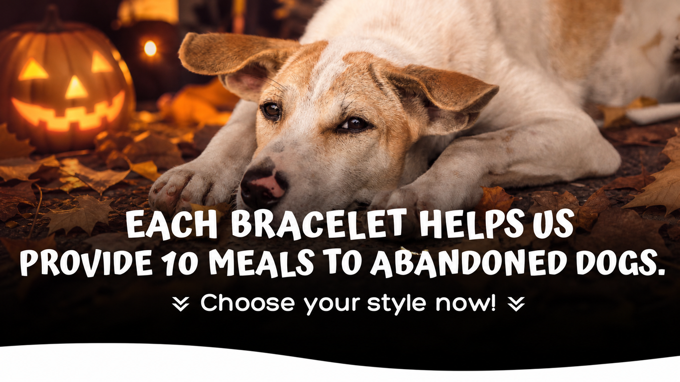 Halloween Edition Rescue Paws bracelets: each bracelet helps us provide 10 meals to abandoned dogs