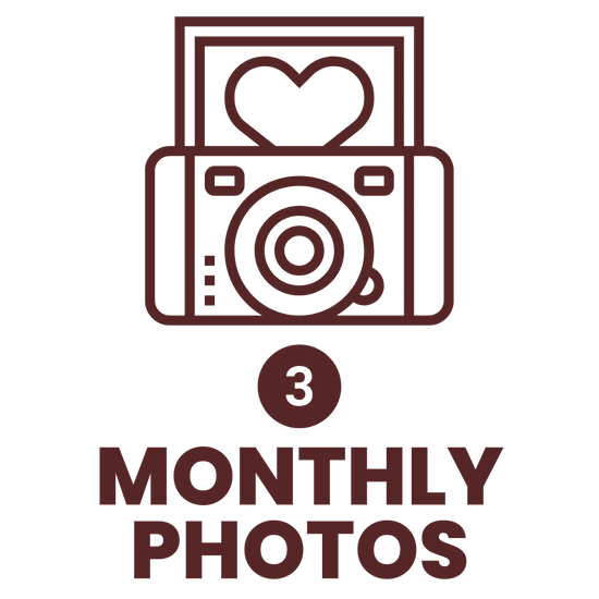 Monthly photos