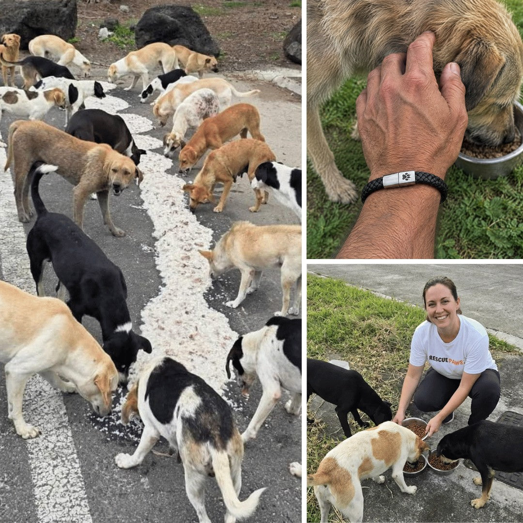 Dogs at a feeding spot, a man's hand on a dog eating, a Rescue Paws Ranger bracelet on his wrist, and a woman feeding dogs