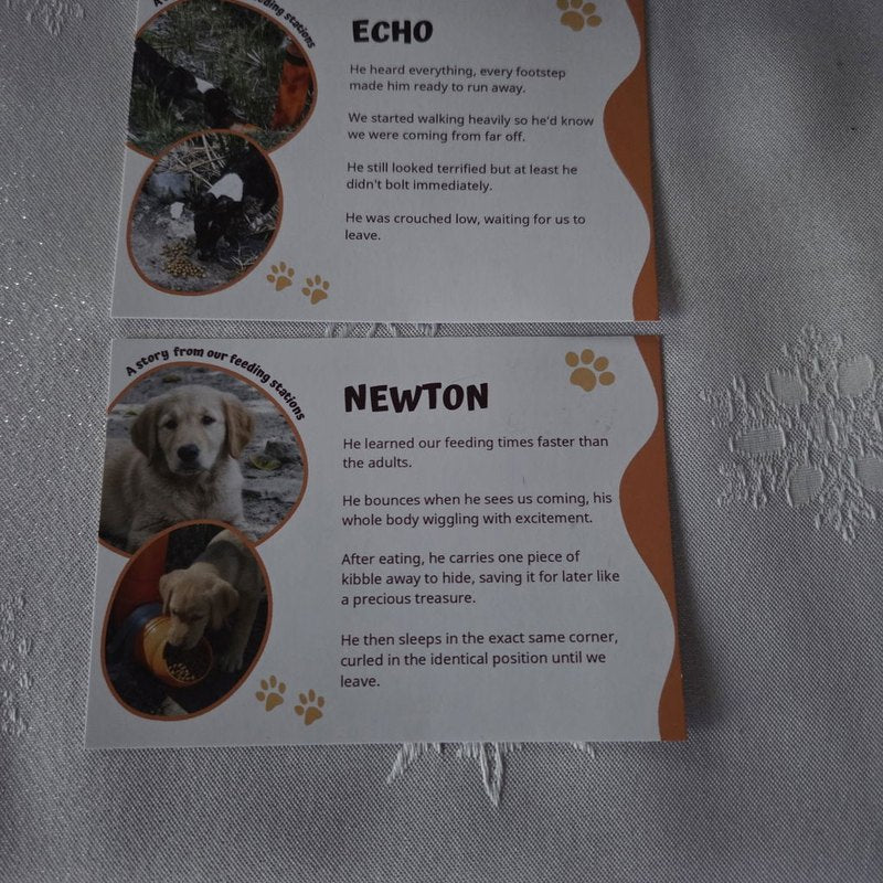 Two Rescue Paws dog story cards, photo shared in a review