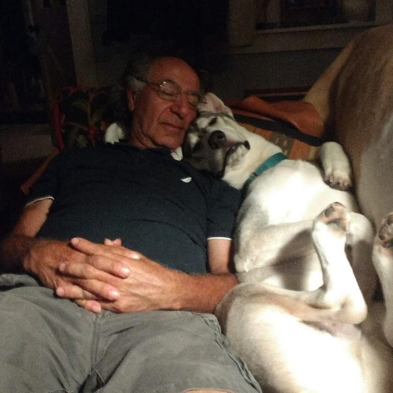 A customer and his dog, photo shared in a review