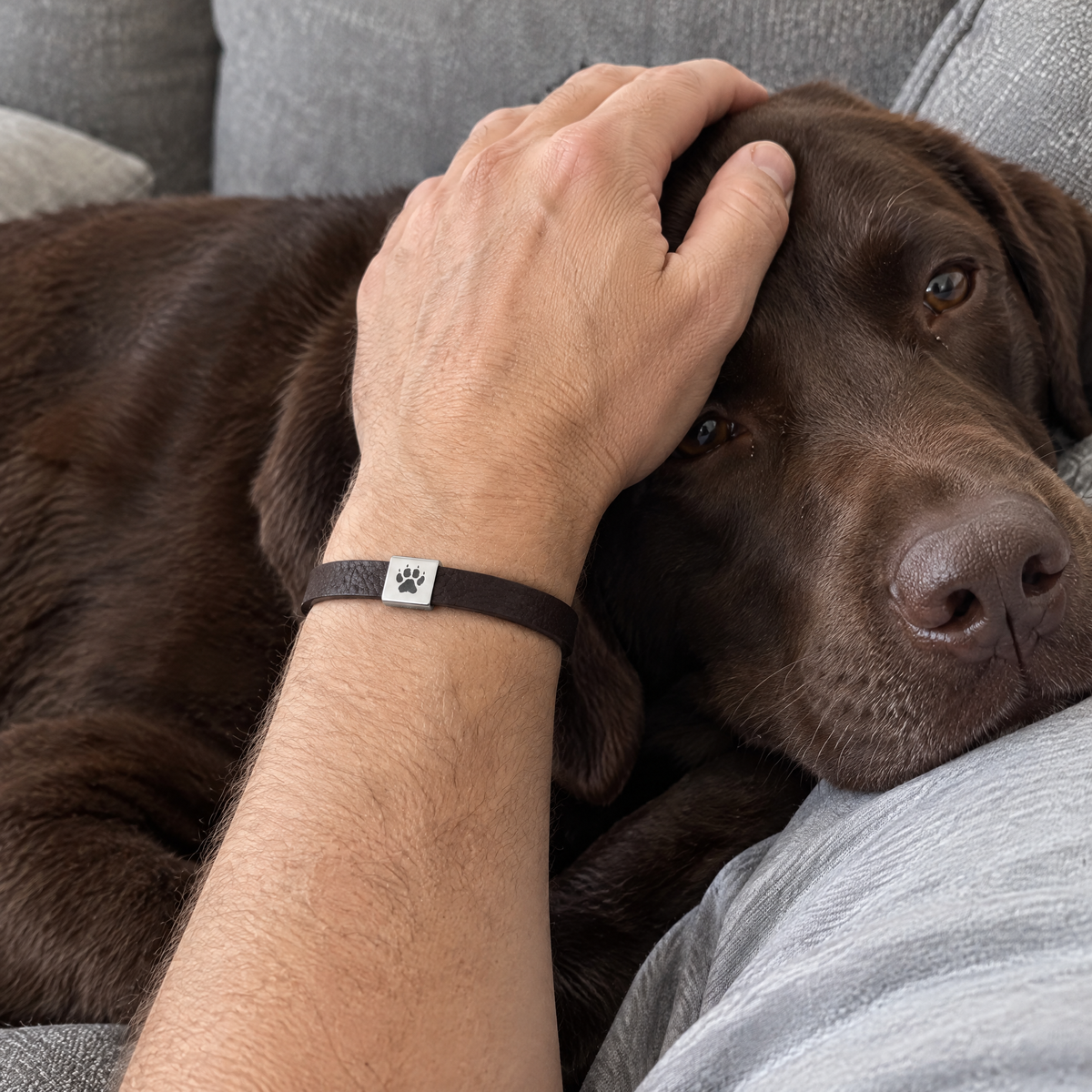 Shepherd Men's Bracelet (Dark Brown) worn on the wrist