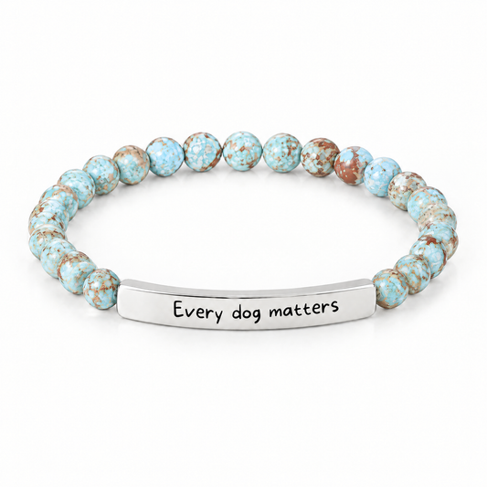 Every Dog Matters Bracelet (Lagoon): light aqua blue beads with a silver-tone bar that reads "Every dog matters"