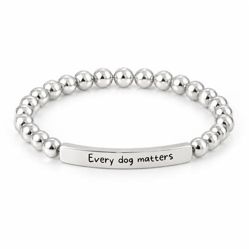 Every Dog Matters Bracelet (Silver-Tone): polished silver-tone beads with a silver-tone bar that reads "Every dog matters"