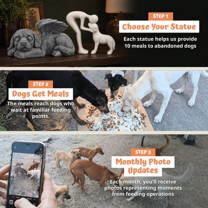 How it works: choose your statue, we help provide meals, monthly photos