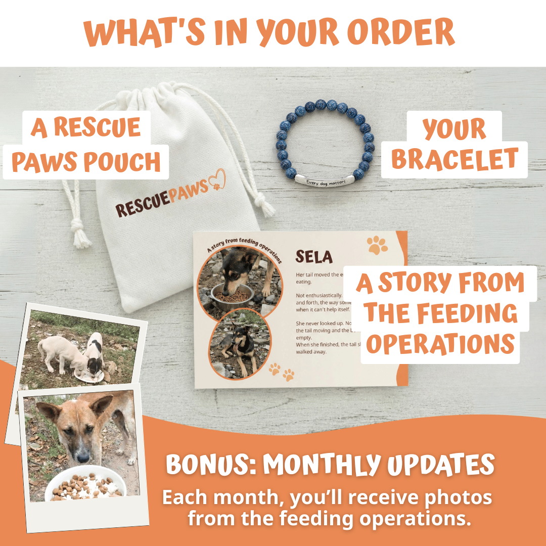 What's in your Rescue Paws order: message bracelet, pouch and story card