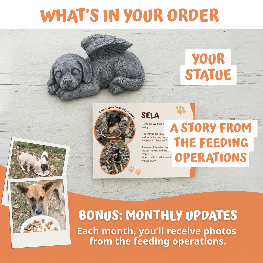 What's in your Rescue Paws order: statue and story card