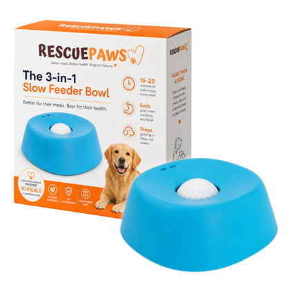 The 3-in-1 Slow Feeder Bowl