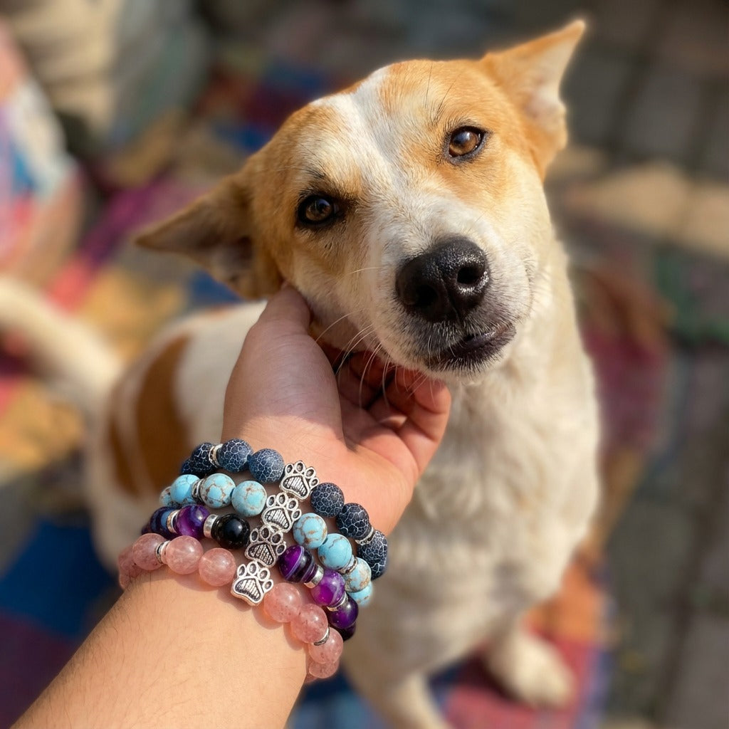 A hand wearing three Rescue Paws bracelets petting a dog