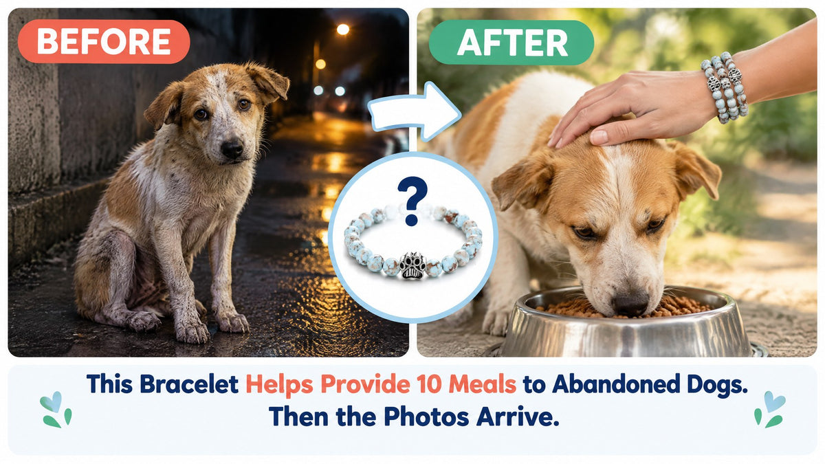 Before and after: a stray dog alone at night, then the same dog eating while a hand wearing Rescue Paws bracelets pets it