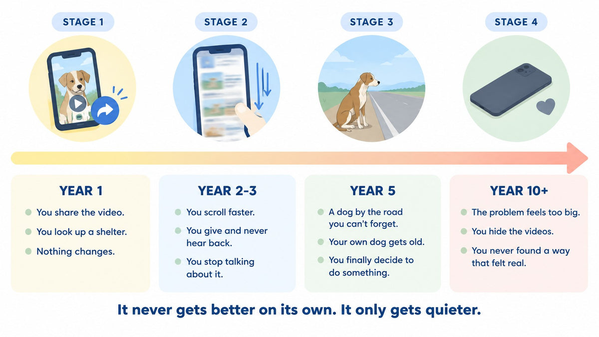 Timeline of what looking away does over time: year 1, year 2-3, year 5, year 10+