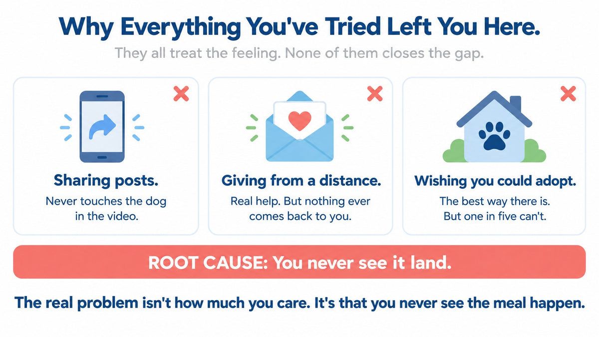 Diagram: why sharing posts, giving from a distance and wishing you could adopt left the gap open