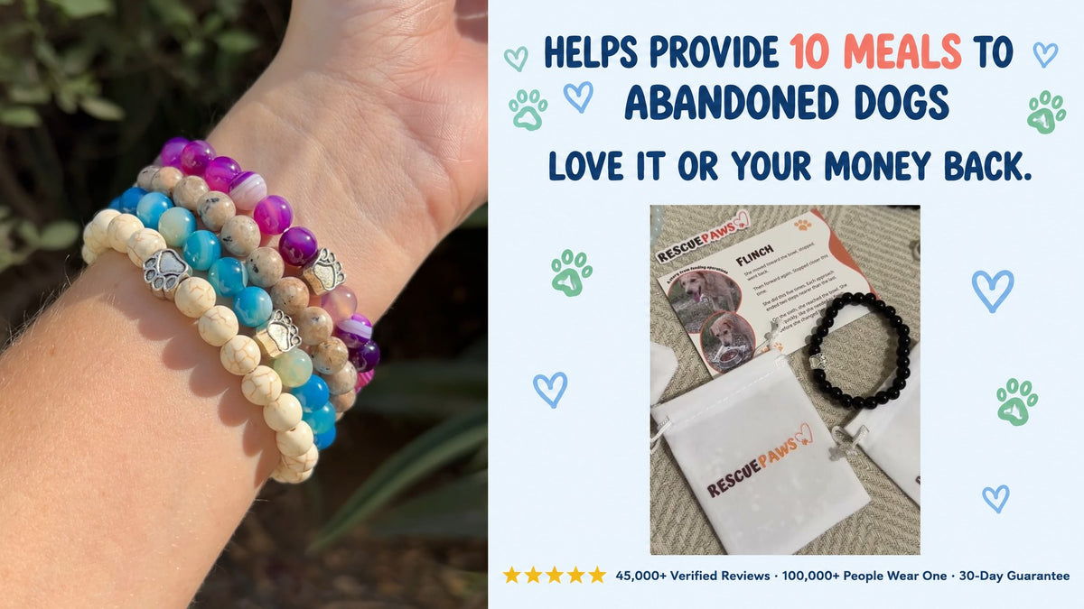 Reveal: a wrist wearing four Rescue Paws bracelets, the story card and the Rescue Paws pouch; each bracelet helps provide 10 meals to abandoned dogs, love it or your money back