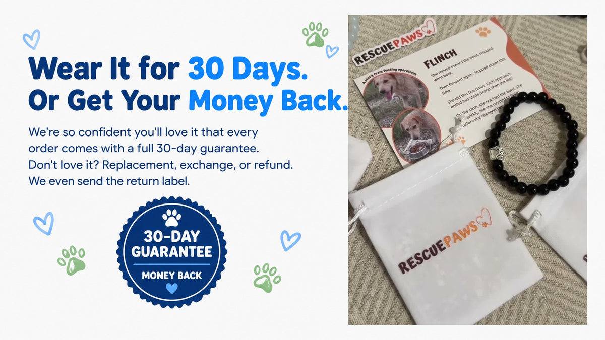 Wear it for 30 days or get your money back: the story card, a bracelet and the Rescue Paws pouch