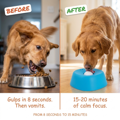 Before and after, what changes when meals slow down