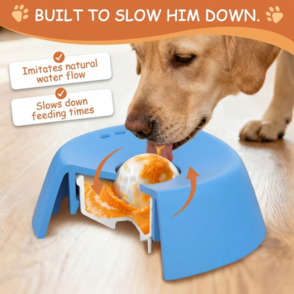 Slow Feeder Bowl in use