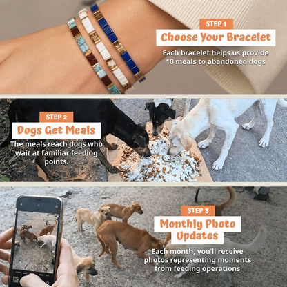 How it works: choose your Miyuki bracelet, dogs get meals, monthly photos