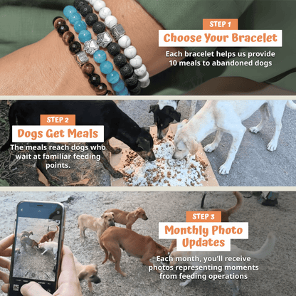 How it works: get a bracelet, we help provide meals, monthly photos