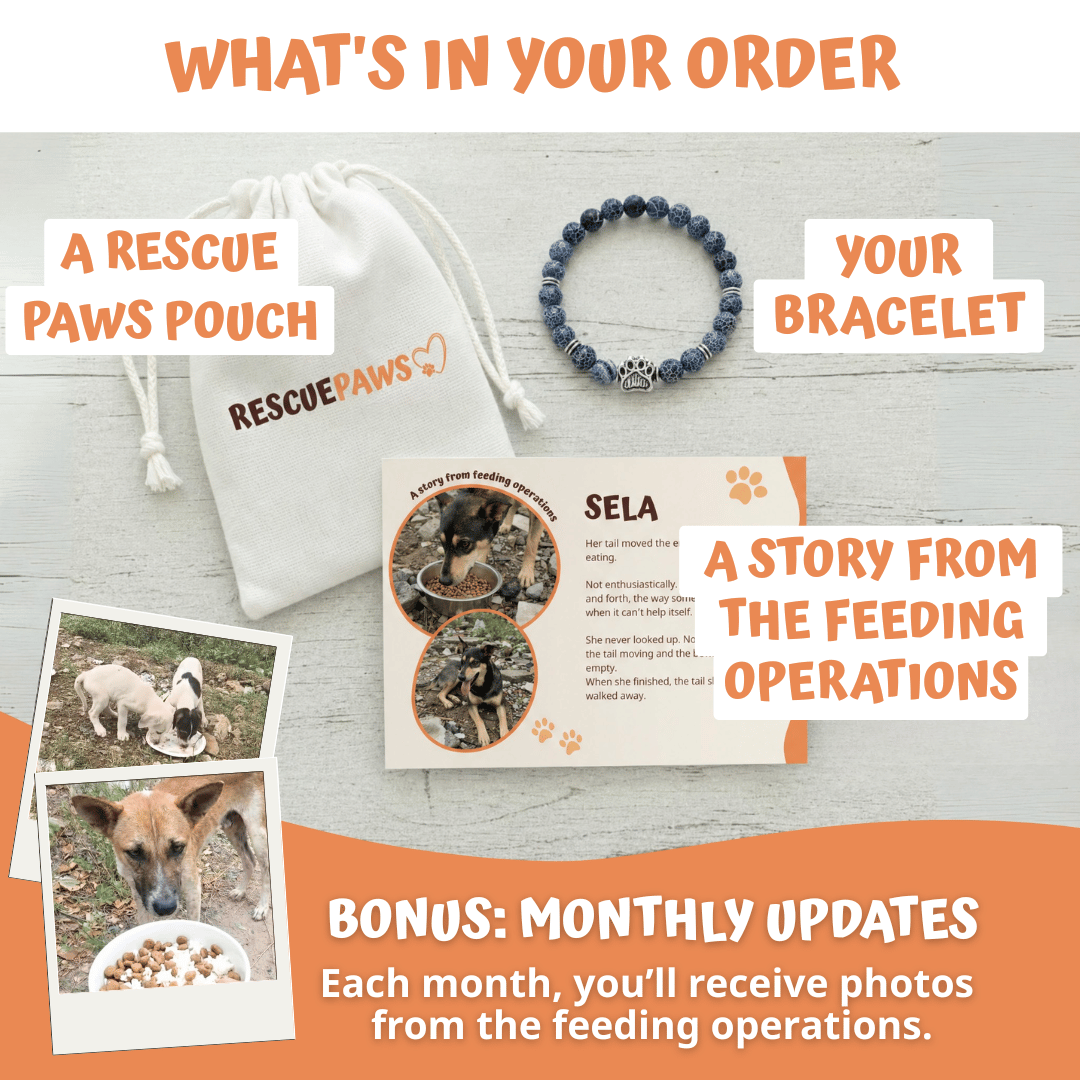 What's in your Rescue Paws order: bracelet, pouch and story card