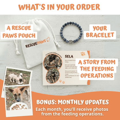 What's in your Rescue Paws order: bracelet, pouch and story card