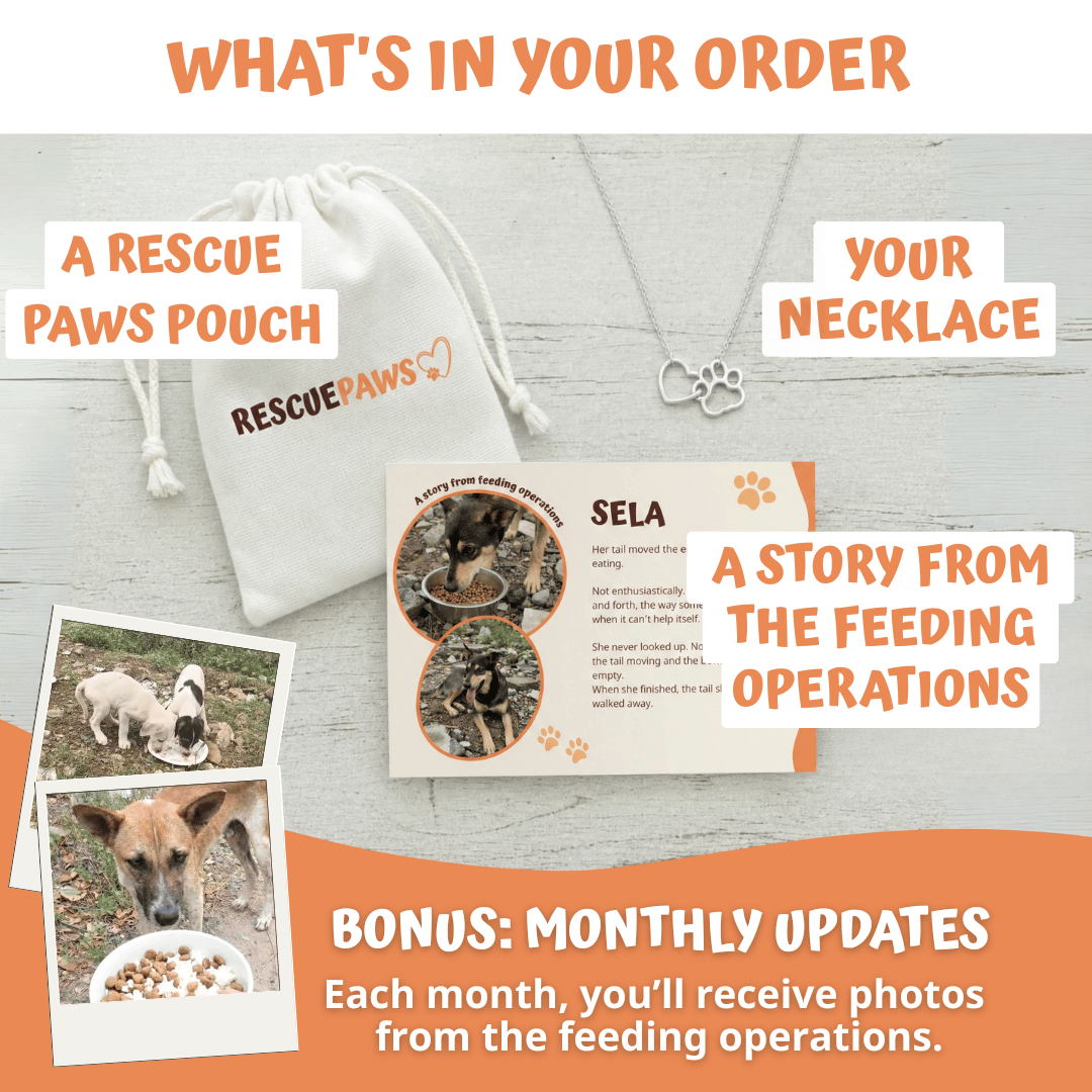 Gentle Paw Necklace