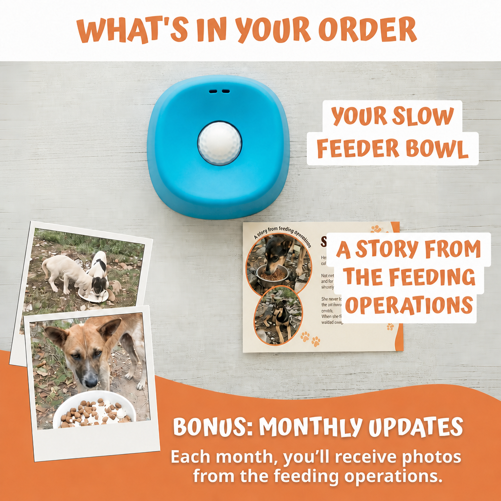 What's in your order