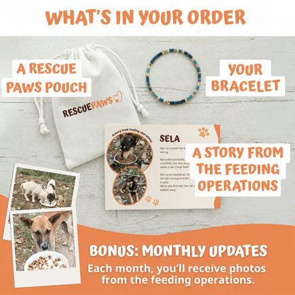 What's in your Rescue Paws order: Miyuki bracelet, pouch and story card