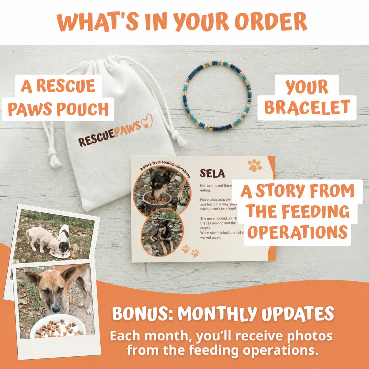 What's in your Rescue Paws order: Miyuki bracelet, pouch and story card