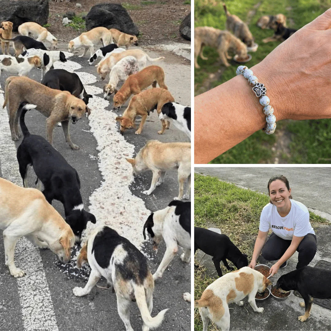 Photos from feeding operations