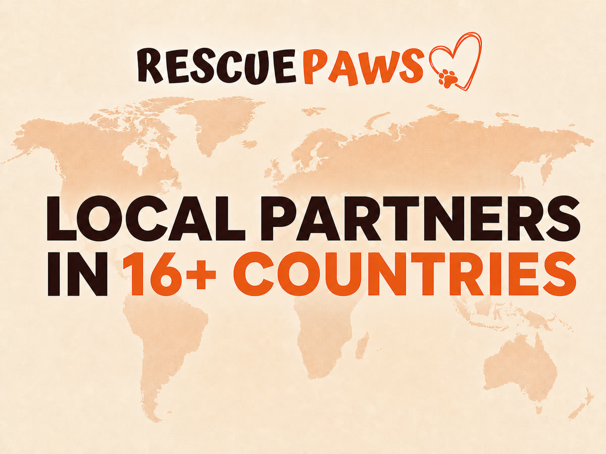 Rescue Paws works through local partners in more than 16 countries