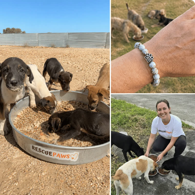 Rescue Paws bracelets shown alongside street feeding operations for dogs in need
