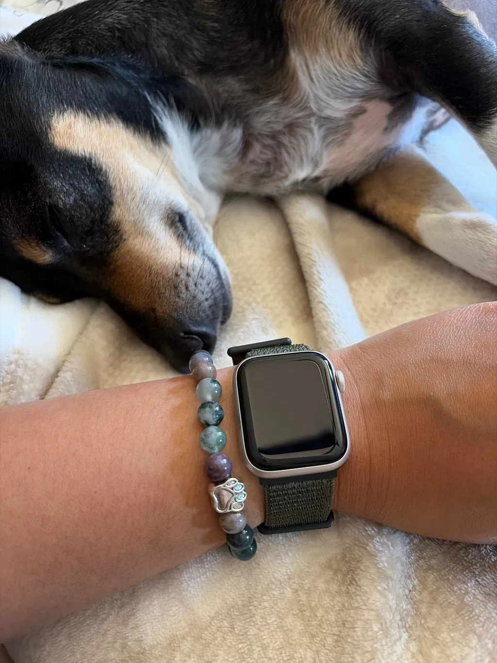 Rescue Paws bracelet worn beside a resting dog